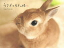 うさぎのモキュ様 パイインターナショナル ImaiTomoko/著