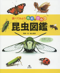 昆虫図鑑 昆虫図鑑　森上信夫/写真・文