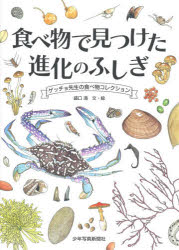 食べ物で見つけた進化のふしぎ ゲッチョ先生の食べ物コレクション 盛口満/文・絵