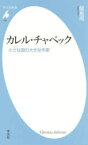 カレル・チャペック　小さな国の大きな作家　飯島周/著