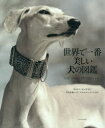 世界で一番美しい犬の図鑑 タムシン・ピッケラル/著 岩井木綿子/訳 アストリッド・ハリソン/写真