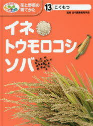 めざせ!栽培名人花と野菜の育てかた　13　イネ・トウモロコシ・ソバ　こくもつ　日本農業教育学会/監修　こどもくらぶ/編