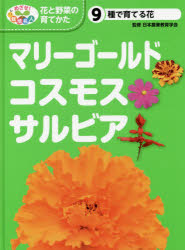 めざせ 栽培名人花と野菜の育てかた 9 マリーゴールド コスモス サルビア 種で育てる花 日本農業教育学会/監修 こどもくらぶ/編