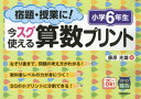 宿題・授業に!今スグ使える算数プリント 小学6年生 藤原光雄/著