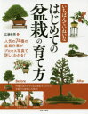 いちばんていねいなはじめての盆栽の育て方 広瀬幸男/著