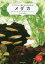 メダカ　飼育の仕方、環境、殖やし方、病気のことがすぐわかる!　はじめての飼育にこの一冊　佐々木浩之/著