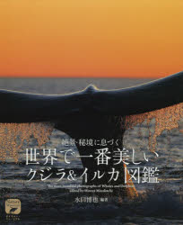 絶景・秘境に息づく世界で一番美しいクジラ＆イルカ図鑑　水口博也/編著