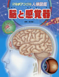 人体図鑑 マルチアングル人体図鑑　〔5〕　脳と感覚器　高沢謙二/監修　松島浩一郎/絵　川島晶子/文