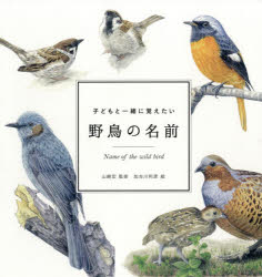 子どもと一緒に覚えたい野鳥の名前　山崎宏/監修　加古川利彦/絵