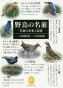 野鳥の名前 名前の由来と語源