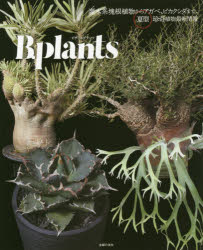 ビザールプランツ 灌木系塊根植物からアガベ、ビカクシダまで、夏型珍奇植物最新情報 小林浩/監修 主婦の友社/編