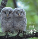 日本の梟 真木広造/撮影・監修
