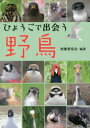 ひょうごで出会う野鳥　西播愛鳥会/編著