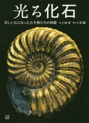 ■ISBN:9784528020153★日時指定・銀行振込をお受けできない商品になりますタイトル光る化石　美しい石になった古生物たちの図鑑　土屋香/著　土屋健/監修ふりがなひかるかせきうつくしいいしになつたこせいぶつたちのずかん発売日201910出版社日東書院本社ISBN9784528020153大きさ175P　27cm著者名土屋香/著　土屋健/監修