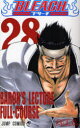BLEACH 28(3)
