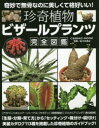 ■ISBN:9784774788210★日時指定・銀行振込をお受けできない商品になりますタイトル珍奇植物　ビザールプランツ完全図鑑　佐々木　浩之　写真フリガナチンキ　シヨクブツ　ビザ−ル　プランツ　カンゼン　ズカン　コスミツク　ムツク　COSMIC　MOOK　63814−21発売日202005出版社コスミック出版ISBN9784774788210著者名佐々木　浩之　写真