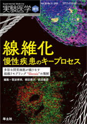 楽天ドラマ×プリンセスカフェ実験医学　Vol．38－No．12（2020増刊）　線維化　慢性疾患のキープロセス　多彩な間質細胞が織りなす組織リモデリング“fibrosis”の理解