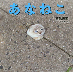 ■ISBN:9784087816914★日時指定・銀行振込をお受けできない商品になりますタイトル【新品】あなねこ　繁昌良司/著フリガナアナネコ発売日202008出版社集英社ISBN9784087816914大きさ76P　15×15cm著者名繁昌良司/著