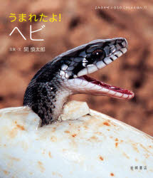 うまれたよ!ヘビ　関慎太郎/写真・文