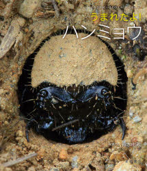 うまれたよ!ハンミョウ　青木由親/写真・文