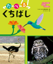 いろいろなとりのくちばし 〔1〕 たべるくちばし とりのくちばし編集委員会/編 のぐちようこ/絵
