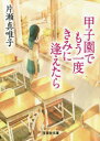 甲子園でもう一度きみに逢えたら 片瀬真唯子/著