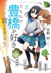 Comics Shop Series - だもんで豊橋が好きって言っとるじゃん 3