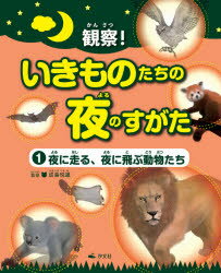 観察!いきものたちの夜のすがた　1　夜に走る、夜に飛ぶ動物たち