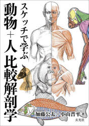 スケッチで学ぶ動物+人比較解剖学　加藤公太/著　小山晋平/著