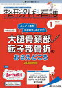 整形外科看護　第27巻1号(2022－1)　“ストン”と理解!患者説明もまかせて!大腿骨頚部/転子部骨折のおさえどころ