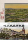 大正十年大東京鳥瞰圖