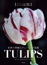 Ẻؗȃ`[bvTULIPS@WF[EC[Xg`[bv̗jƍŐVԁ@WF[EC[Xg/@C`FE[/ʐ^@뉺Ƒ/