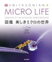 MICRO LIFE 図鑑美しきミクロの世界 スミソニアン協会/監修 遠藤秀紀/日本語版監修 細矢剛/日本語版監修
