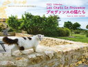 ’23 プロヴァンスの猫たちカレンダー 内山晟 写真