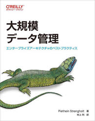 大規模データ管理　エンタープライズアーキテクチャのベストプラクティス　Piethein　Strengholt/著　村上列/訳