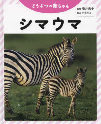 シマウマ