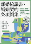 離婚協議書・婚姻契約条項例集　面会交流・養育費・財産分与・婚姻費用・年金分割、パートナーシップ契約等　高井翔/著　竹下龍之介/著　中村啓乃/著　宮崎晃/著　本村安宏/著