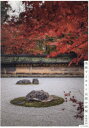 美術でよみとく京都の庭園