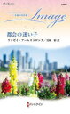 都会の迷い子 リンゼイ・アームストロング/作 宮崎彩/訳
