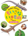 みつけよう・そだてようちいさないきもの 〔3〕 カナヘビ・トカゲ 小宮輝之/監修