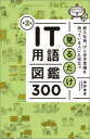 見るだけIT用語図鑑300 新入社員、ITに苦手意識を持っている人にも役立つ 草野俊彦/著
