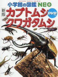 【ポイント12倍！※要エントリー】カブトムシ クワガタムシ/小池,啓一,1949- 小学館のサムネイル