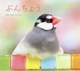 カレンダー　’26　ぶんちょう　おぴ〜とうもと