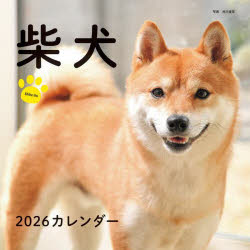 2026カレンダー柴犬　井川俊彦