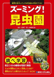 ■ISBN:9784798074542★日時指定・銀行振込をお受けできない商品になりますタイトルズーミング!昆虫園　疑問を拡大していけば仕組みが見えてくる!　小宮輝之/監修ふりがなず−みんぐこんちゆうえんぎもんおかくだいしていけばしくみがみえてくる発売日202604出版社秀和システム新社ISBN9784798074542大きさ95P　26cm著者名小宮輝之/監修