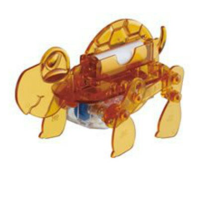 増田屋コーポレーション D.I.Y.ペット カメII