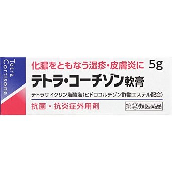 【第 2 類医薬品】テトラ・コーチゾン軟膏 5g 4987014030208 【取寄商品】