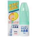 【第2類医薬品】【送料無料 】カイゲン点鼻薬 30mL 【3個セット】 4987040052861