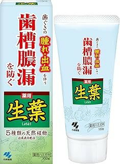 【医薬部外品】薬用 生葉(しょうよう)c (100g)×1個 4987072008041 【取寄商品】