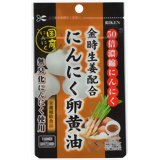 リケン 金時生姜配合 にんにく卵黄油 62粒 4903361672014 【取寄商品】